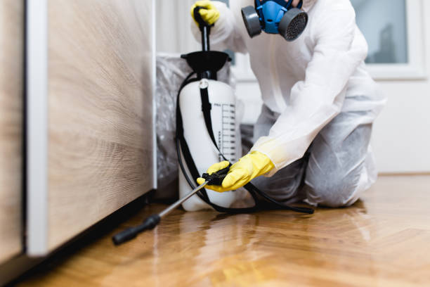 Best Residential Pest Control  in Mills River, NC