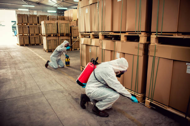 Best Exterminator Services  in Mills River, NC