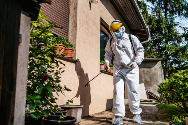 Best Insect Control  in Mills River, NC