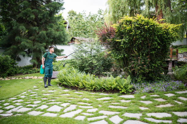 Best Local Pest Control Services  in Mills River, NC