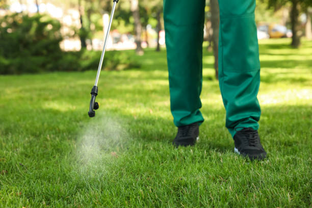 Best Bed Bug Extermination  in Mills River, NC