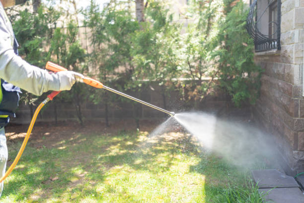 Best Rat Extermination Near Me  in Mills River, NC